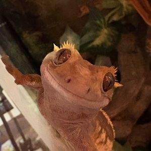 Meet your Posher, Emmalynn